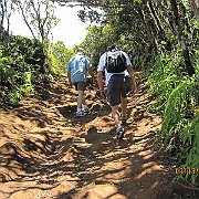 Picture 082